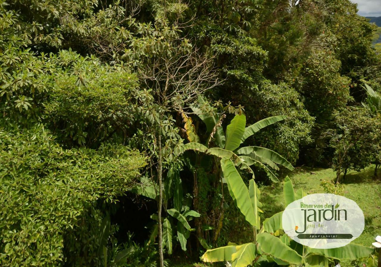 Viviendas Turisticas "Reservas Del Jardin" Херіко Екстер'єр фото